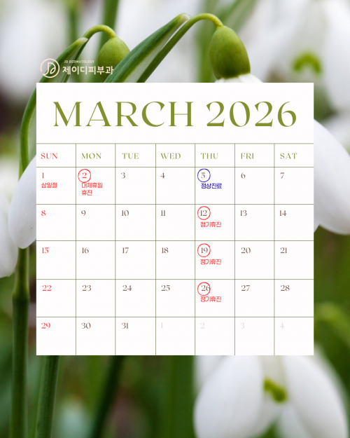 제이디피부과  진료일정